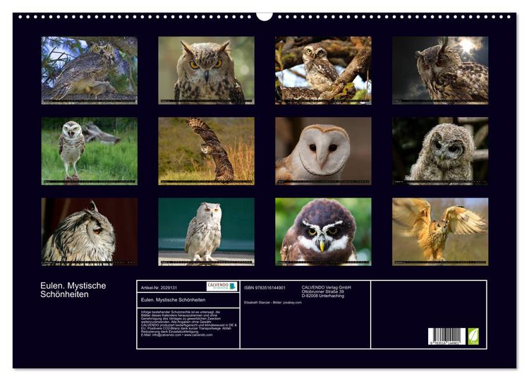 Produktbild: Eulen. Mystische Sch&ouml;nheiten (Wandkalender 2026 DIN A2 quer), CALVENDO Monatskalender