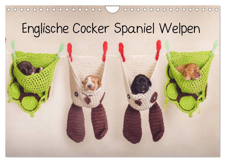 Produktbild: Englische Cocker Spaniel Welpen (Wandkalender 2026 DIN A4 quer), CALVENDO Monatskalender