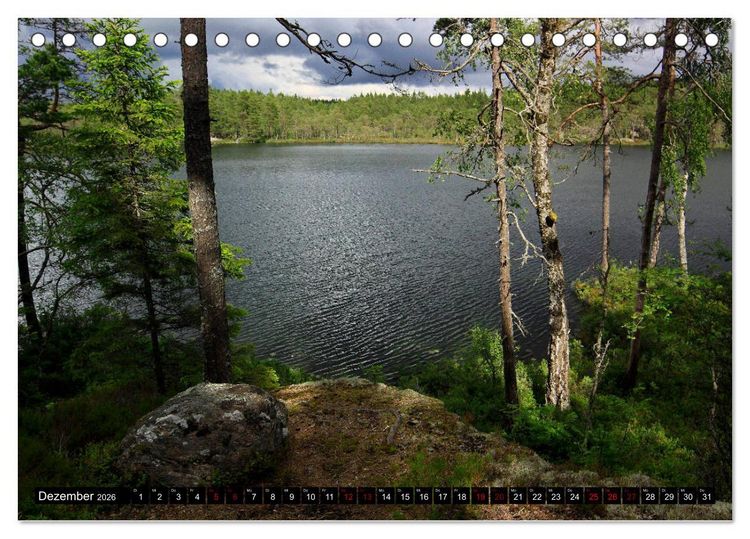 Produktbild: Tiveden, der NatURWALD in Schweden (Tischkalender 2026 DIN A5 quer), CALVENDO Monatskalender