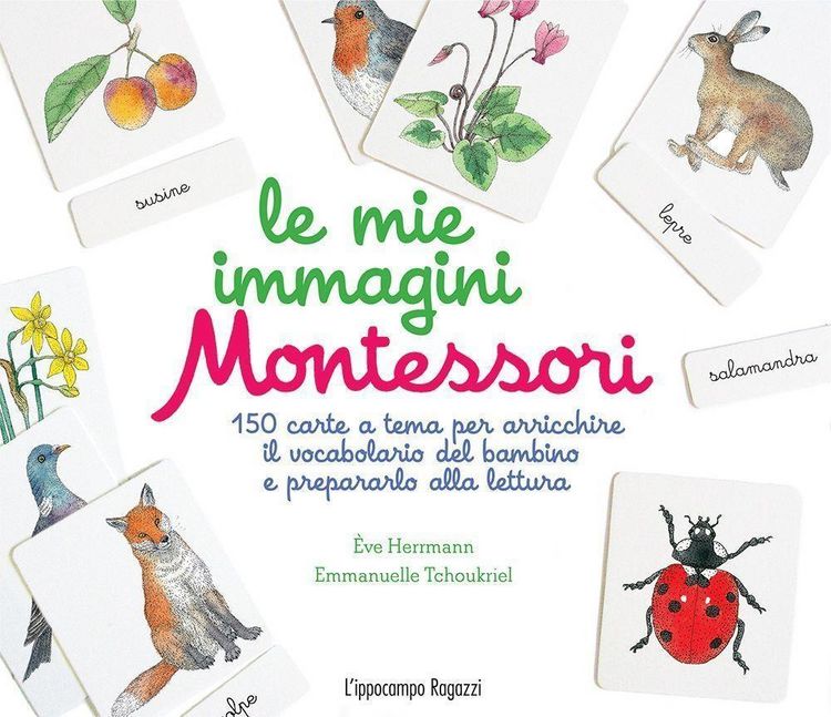 Produktbild: Le mie immagini Montessori. 150 carte a tema per arricchire il vocabolario del bambino e prepararlo alla lettura
