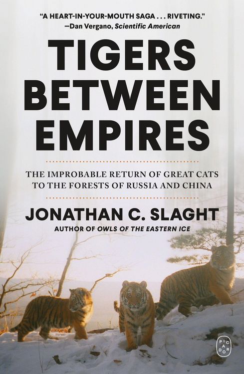 Produktbild: Tigers Between Empires