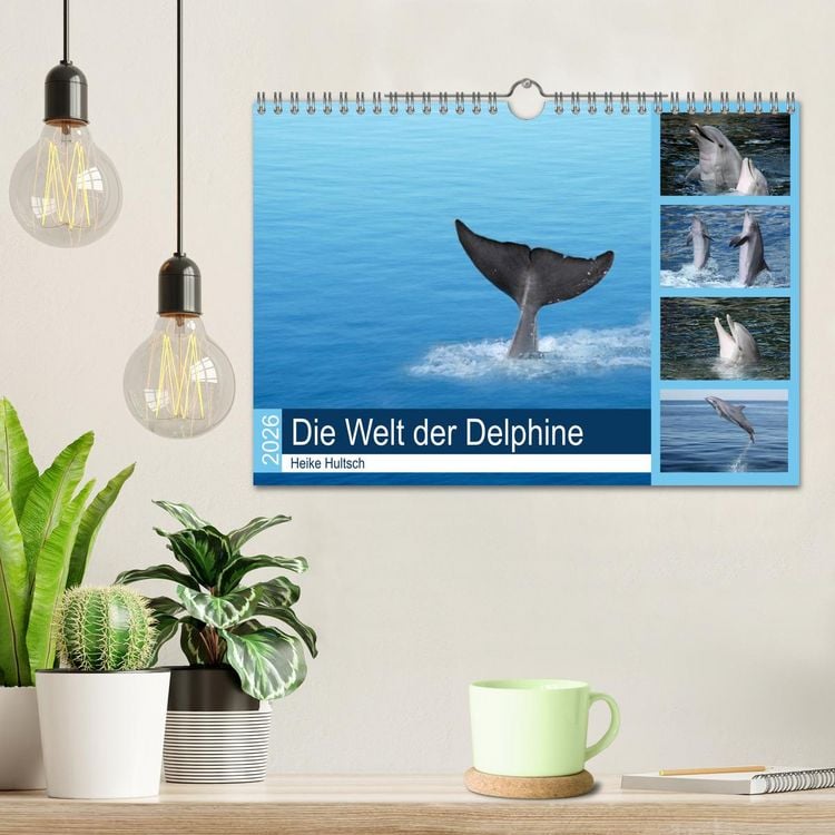 Produktbild: Die Welt der Delphine (Wandkalender 2026 DIN A4 quer), CALVENDO Monatskalender