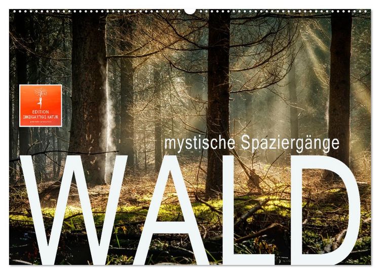 Produktbild: Wald - mystische Spazierg&auml;nge (Wandkalender 2026 DIN A2 quer), CALVENDO Monatskalender