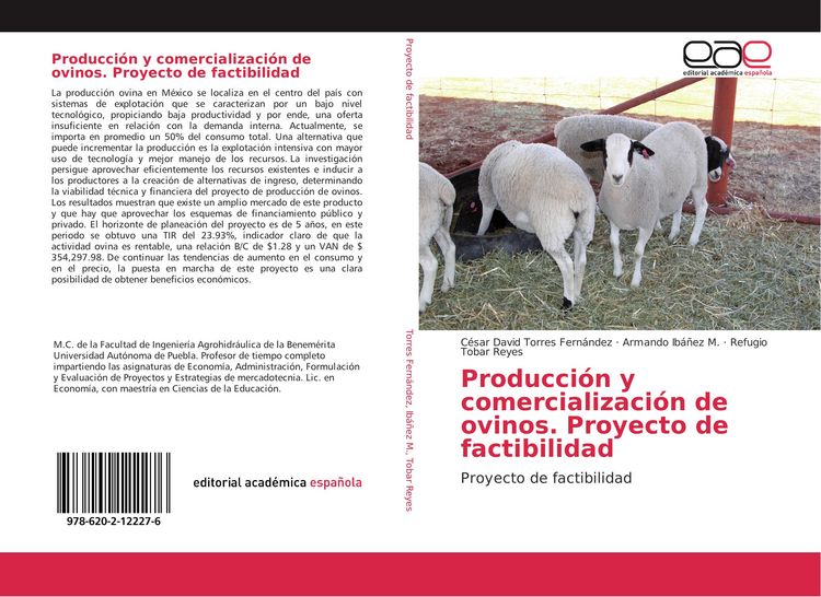 Produktbild: Producci&oacute;n y comercializaci&oacute;n de ovinos. Proyecto de factibilidad