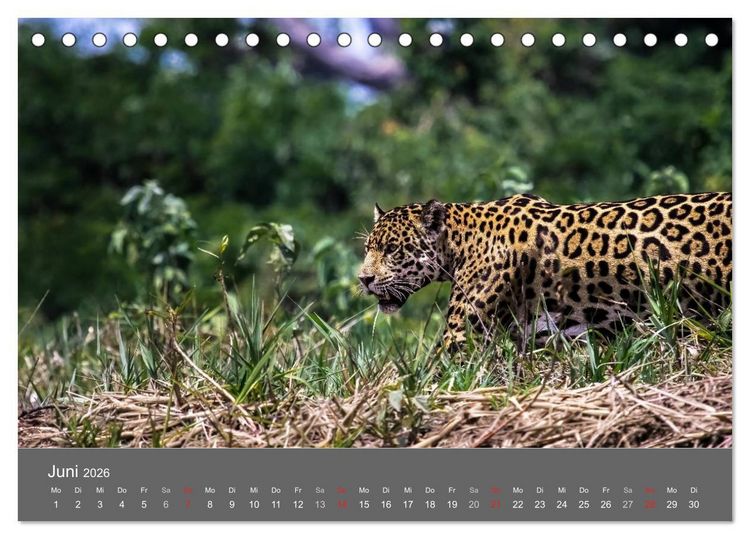 Produktbild: Brasilien 2026 abseits von Rio (Tischkalender 2026 DIN A5 quer), CALVENDO Monatskalender