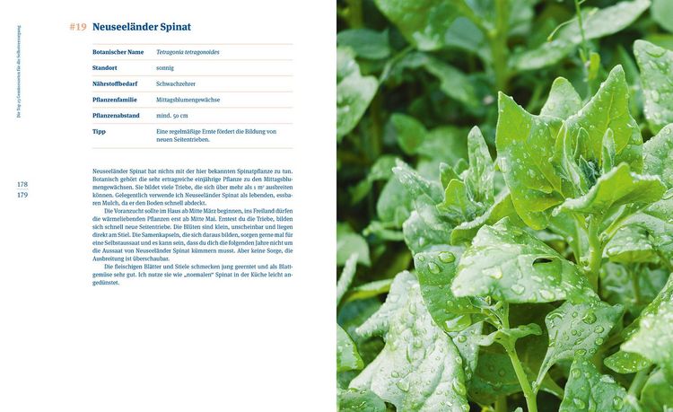 Produktbild: Einfach mehr ernten