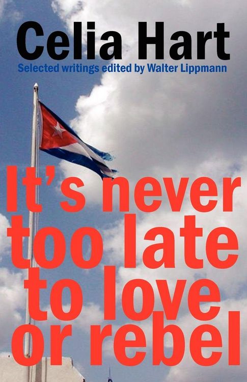 Produktbild: It's never too late to love or rebel