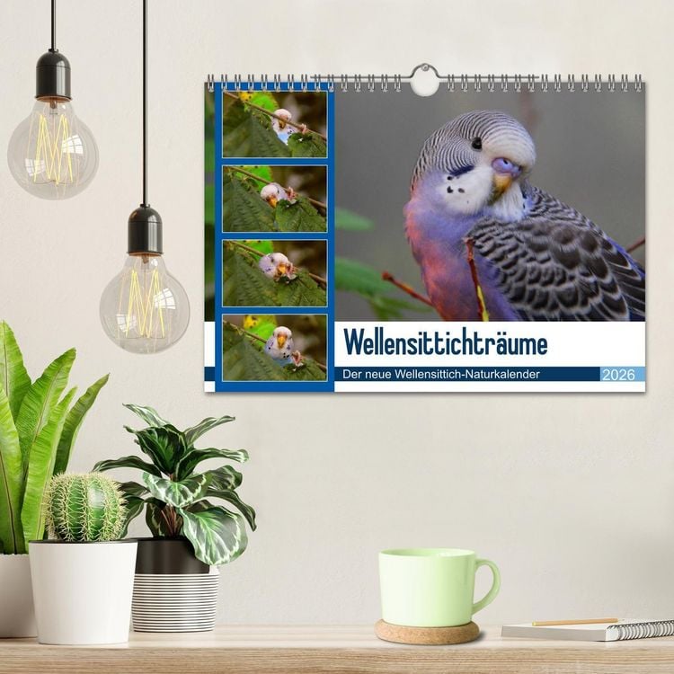 Produktbild: Wellensittichtr&auml;ume - Der neue Wellensittich-Naturkalender (Wandkalender 2026 DIN A4 quer), CALVENDO Monatskalender