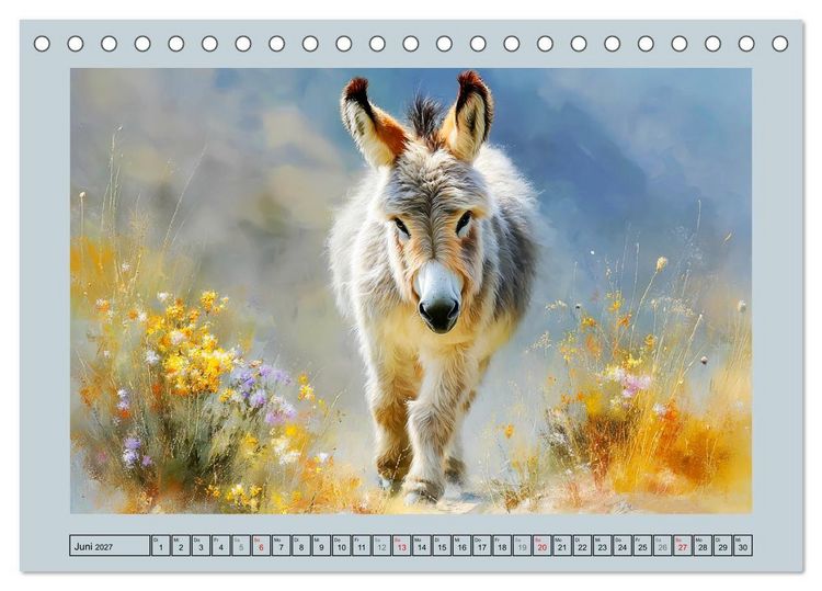 Produktbild: Zwergesel. Kleine Langohren mit gro&szlig;em Charme (Tischkalender 2027 DIN A5 quer), CALVENDO Monatskalender