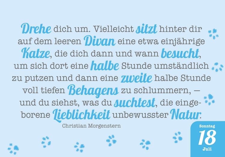 Produktbild: Katzenpoesie 2027