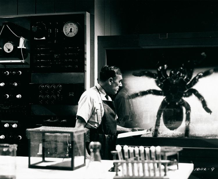 Produktbild: Tarantula
