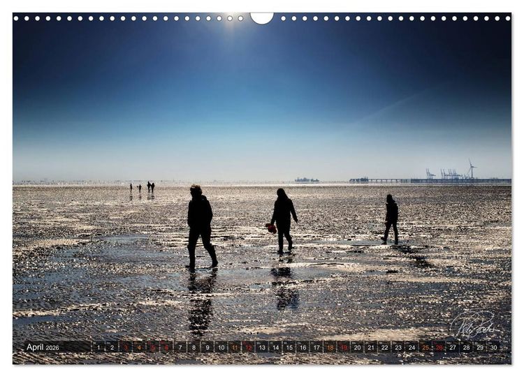 Produktbild: Friesland - Watt und Nordsee / CH-Version (Wandkalender 2026 DIN A3 quer), CALVENDO Monatskalender
