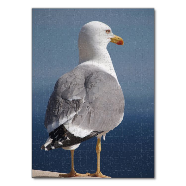 Produktbild: Lais Puzzle M&ouml;we 500 Teile