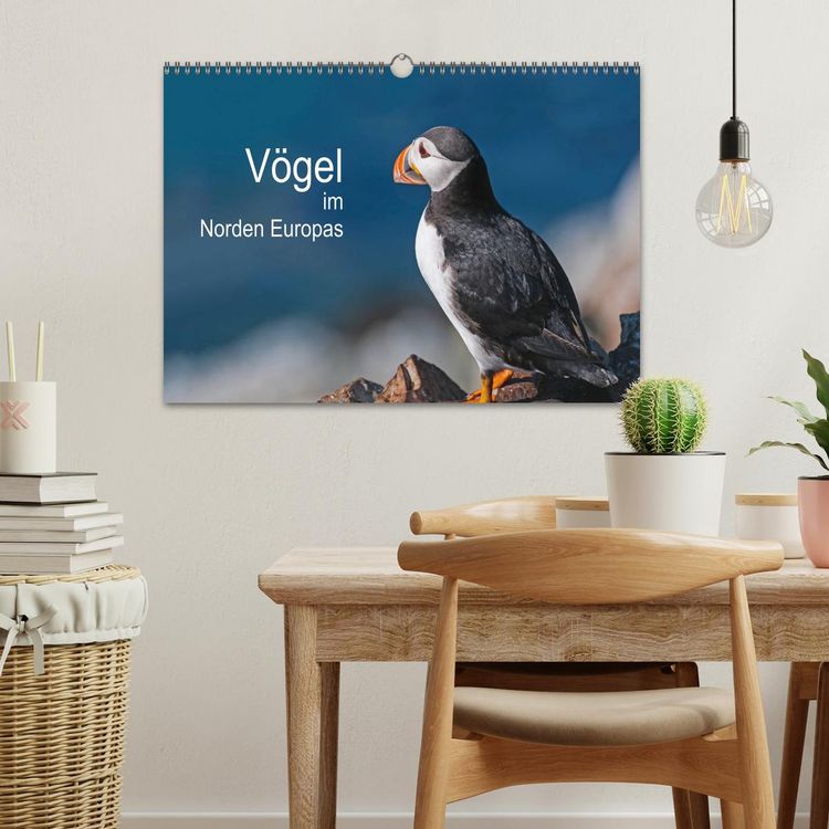 Produktbild: V&ouml;gel im Norden Europas (Wandkalender 2026 DIN A3 quer), CALVENDO Monatskalender