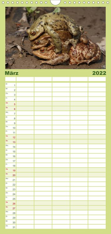 Produktbild: Familienplaner Weltnaturerbe Hainich (Wandkalender 2022 , 21 cm x 45 cm, hoch)