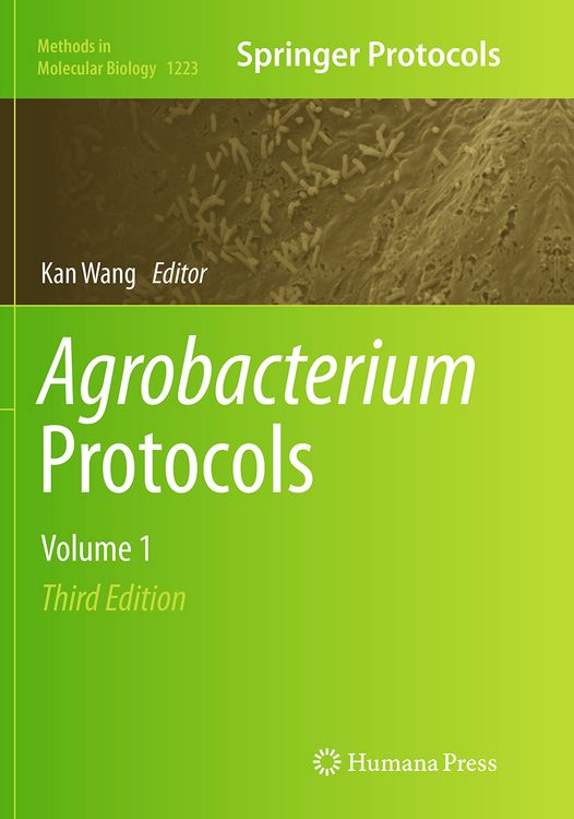 Produktbild: Agrobacterium Protocols