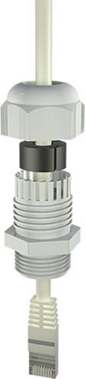 Produktbild: Bopla 12002404 Kabelverschraubung M25 Polyamid Lichtgrau (RAL 7035) 1St.