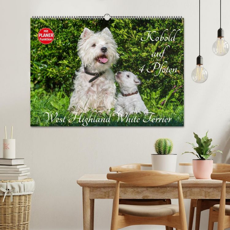 Produktbild: Kobold auf 4 Pfoten - West Highland White Terrier (Wandkalender 2026 DIN A2 quer), CALVENDO Monatskalender