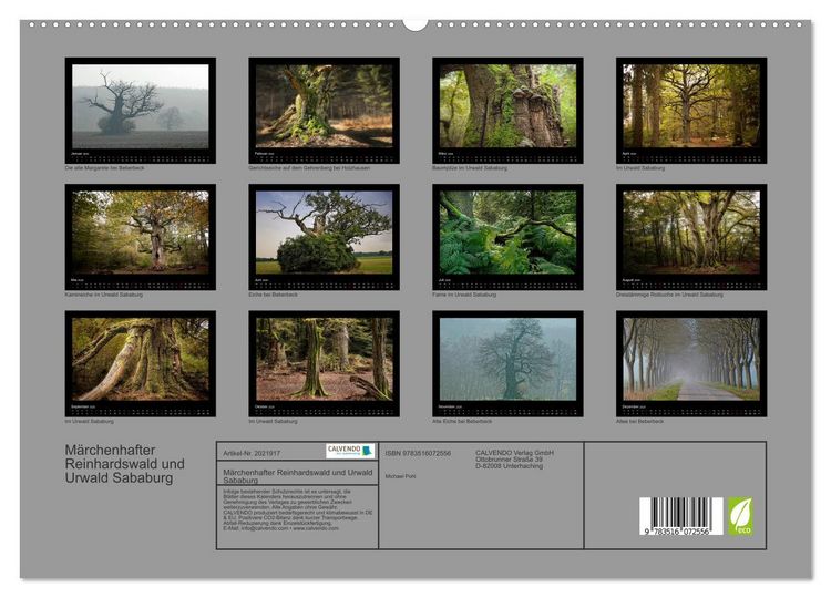 Produktbild: M&auml;rchenhafter Reinhardswald und Urwald Sababurg (hochwertiger Premium Wandkalender 2026 DIN A2 quer), Kunstdruck in Hochglanz