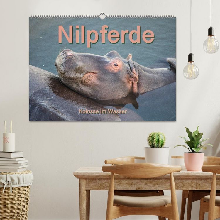 Produktbild: Nilpferde, Kolosse im Wasser (Wandkalender 2026 DIN A2 quer), CALVENDO Monatskalender