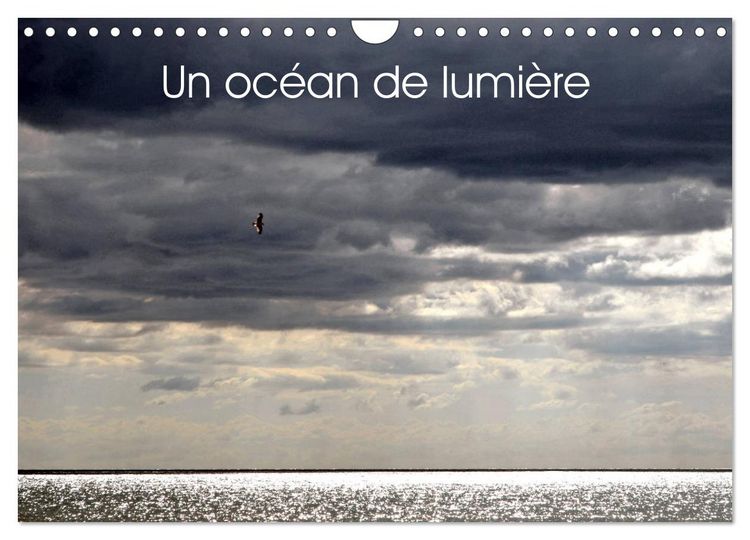 Produktbild: Un oc&eacute;an de lumi&egrave;re (Calendrier mural 2026 DIN A4 vertical), CALVENDO calendrier mensuel
