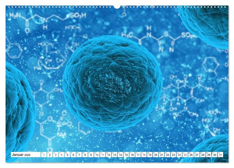 Produktbild: Mikrobiologie. Mikroorganismen, Genetik und Zellen (hochwertiger Premium Wandkalender 2026 DIN A2 quer), Kunstdruck in Hochglanz
