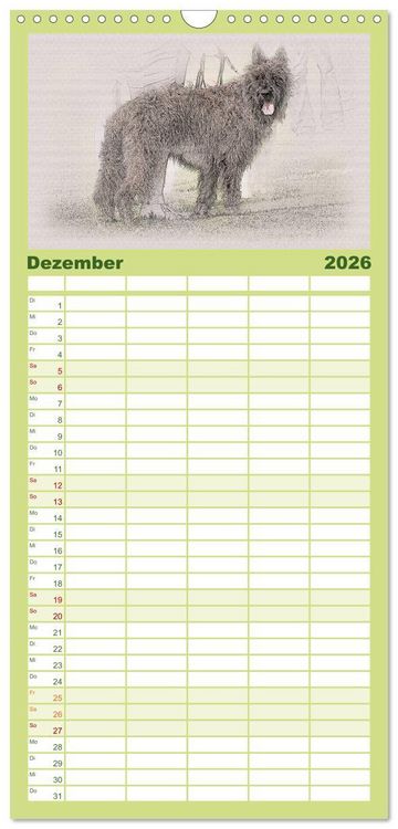 Produktbild: Familienplaner 2026 - Franz&ouml;sische Hirtenhunde 2026 mit 5 Spalten (Wandkalender, 21 x 45 cm) CALVENDO