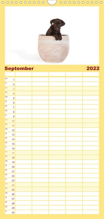 Produktbild: Familienplaner Labrador - Welpen (Wandkalender 2022 , 21 cm x 45 cm, hoch)