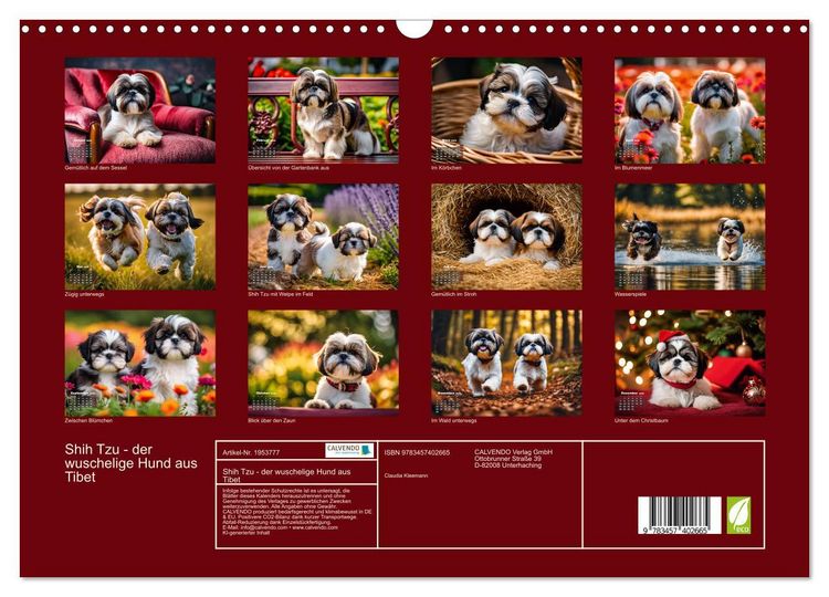 Produktbild: Shih Tzu - der wuschelige Hund aus Tibet (Wandkalender 2026 DIN A3 quer), CALVENDO Monatskalender