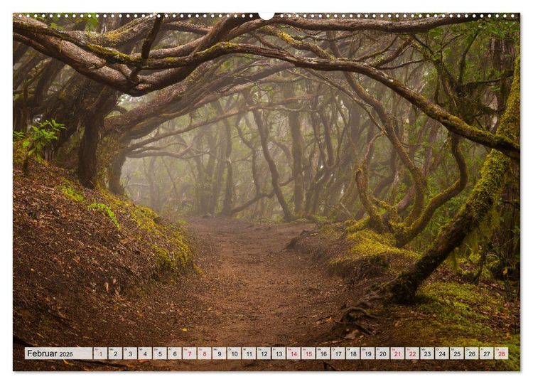 Produktbild: Die stille Magie der Insel Teneriffa (Wandkalender 2026 DIN A2 quer), CALVENDO Monatskalender