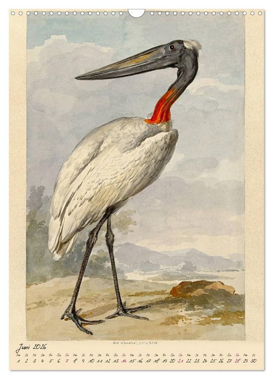 Produktbild: Aert Schouman. V&Ouml;GEL (Wandkalender 2026 DIN A3 hoch), CALVENDO Monatskalender