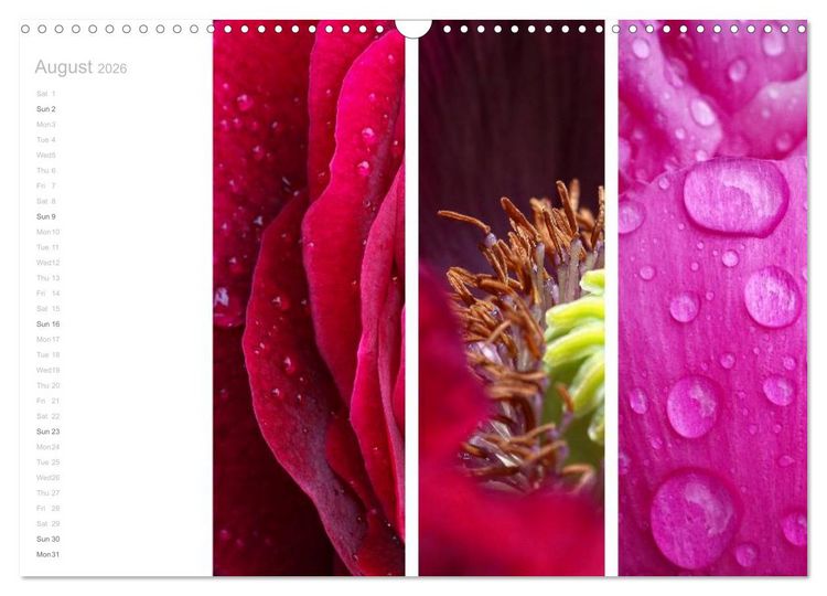 Produktbild: Natural Trios (Wall Calendar 2026 DIN A3 landscape), CALVENDO 12 Month Wall Calendar