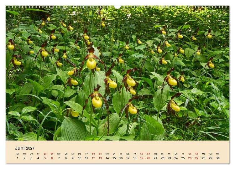 Produktbild: Franken - eine Region voller Naturwunder (Wandkalender 2027 DIN A2 quer), CALVENDO Monatskalender