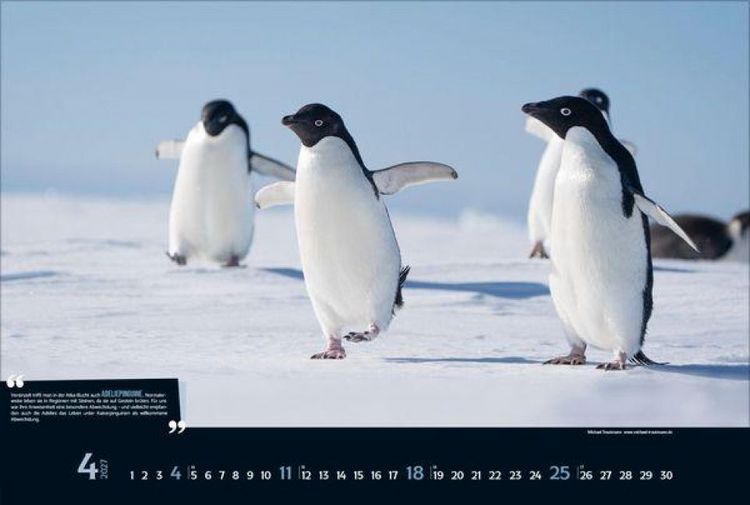 Produktbild: Expedition Antarktis 2027