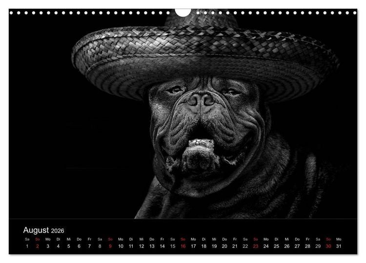 Produktbild: H&uuml;tehunde (Wandkalender 2026 DIN A3 quer), CALVENDO Monatskalender