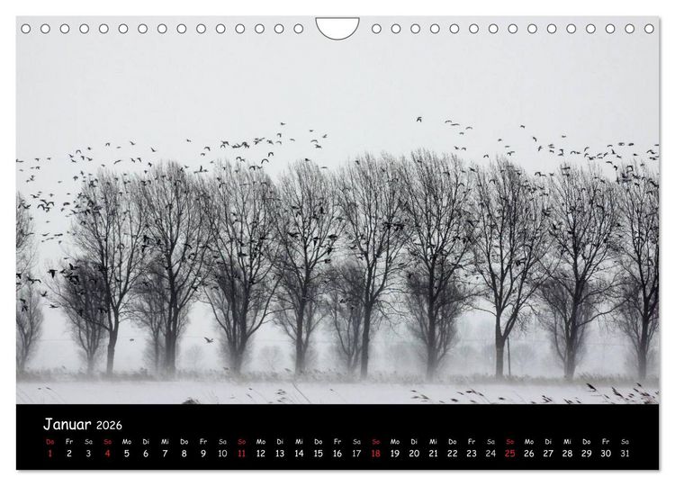 Produktbild: Schrei der Wildg&auml;nse (Wandkalender 2026 DIN A4 quer), CALVENDO Monatskalender
