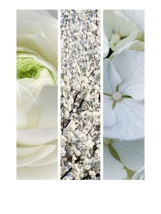 Produktbild: CALVENDO Puzzle Natural Trios - Wei&szlig;e Bl&uuml;ten | 1000 Teile Lege-Gr&ouml;&szlig;e 64x48cm Foto-Puzzle f&uuml;r gl&uuml;ckliche Stunden