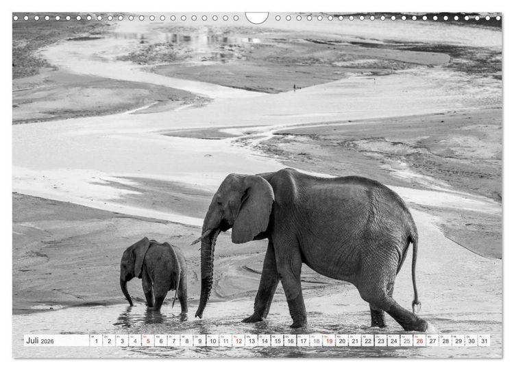 Produktbild: Emotionale Momente: Elefanten in black & white (Wandkalender 2026 DIN A3 quer), CALVENDO Monatskalender