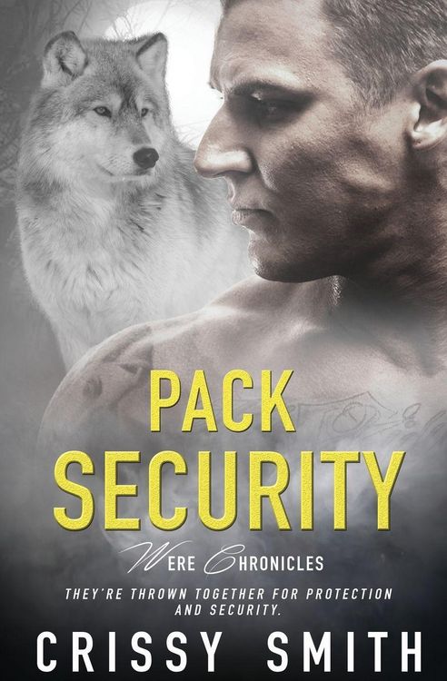 Produktbild: Pack Security