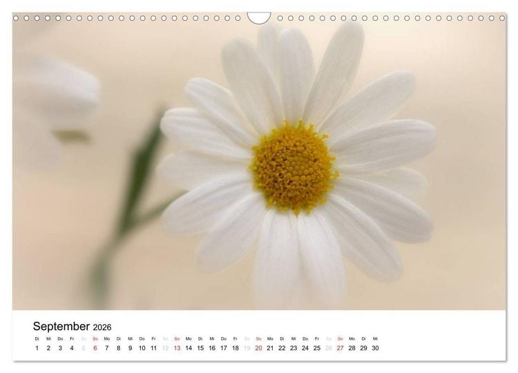 Produktbild: Zarte Natur 2026 (Wandkalender 2026 DIN A3 quer), CALVENDO Monatskalender
