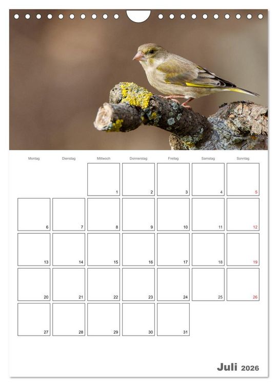 Produktbild: V&ouml;gel im heimischen Garten (Wandkalender 2026 DIN A4 hoch), CALVENDO Monatskalender
