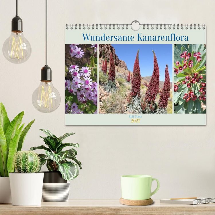 Produktbild: Wundersame Kanarenflora (Wandkalender 2027 DIN A4 quer), CALVENDO Monatskalender