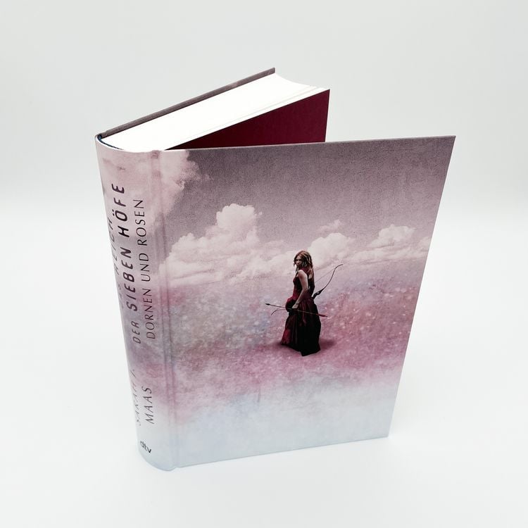 Produktbild: Dornen und Rosen / Das Reich der sieben H&ouml;fe Band 1