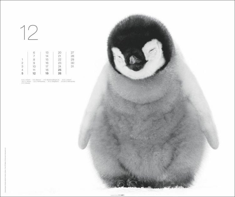 Produktbild: Black & White Animals 2027