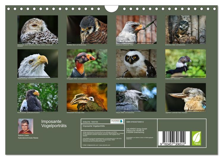 Produktbild: Imposante Vogelportr&auml;ts (Wandkalender 2026 DIN A4 quer), CALVENDO Monatskalender