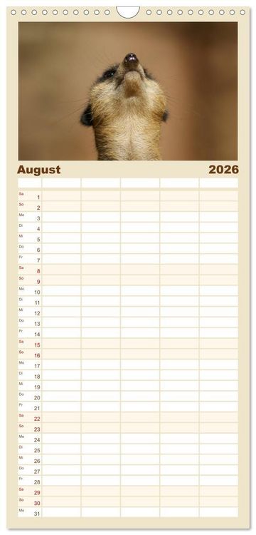 Produktbild: Familienplaner 2026 - Erdm&auml;nnchen: Zusammen sind wir stark mit 5 Spalten (Wandkalender, 21 x 45 cm) CALVENDO