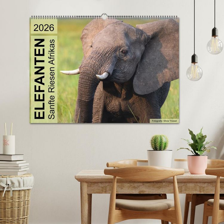Produktbild: Elefanten - Sanfte Riesen Afrikas (Wandkalender 2026 DIN A2 quer), CALVENDO Monatskalender