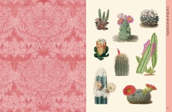 Produktbild: Botanical Art to Cut out and Collage