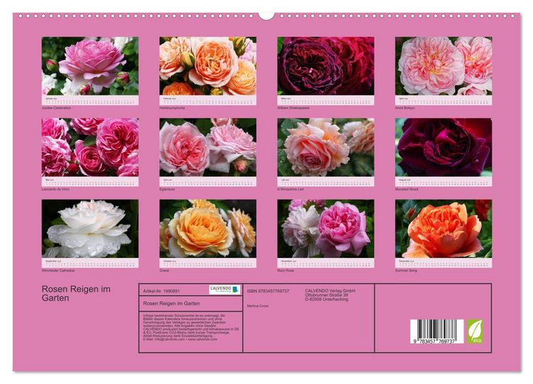 Produktbild: Rosen Reigen im Garten (hochwertiger Premium Wandkalender 2026 DIN A2 quer), Kunstdruck in Hochglanz