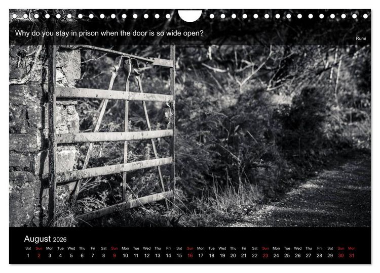 Produktbild: Through the Gate with Rumi (Wall Calendar 2026 DIN A4 landscape), CALVENDO 12 Month Wall Calendar